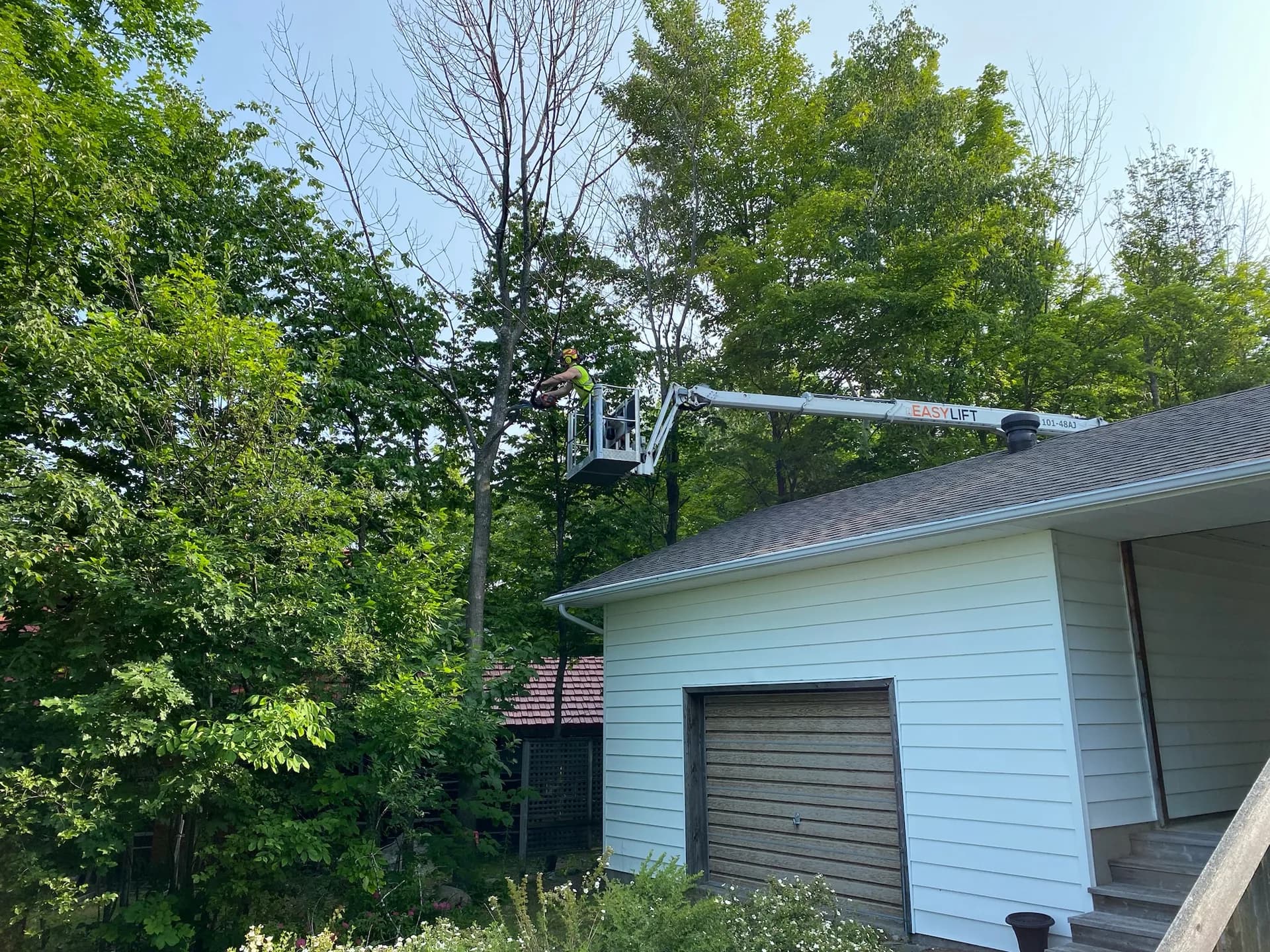 Arborist in bucket truck inspecting a dead tree next to a house in Simcoe County