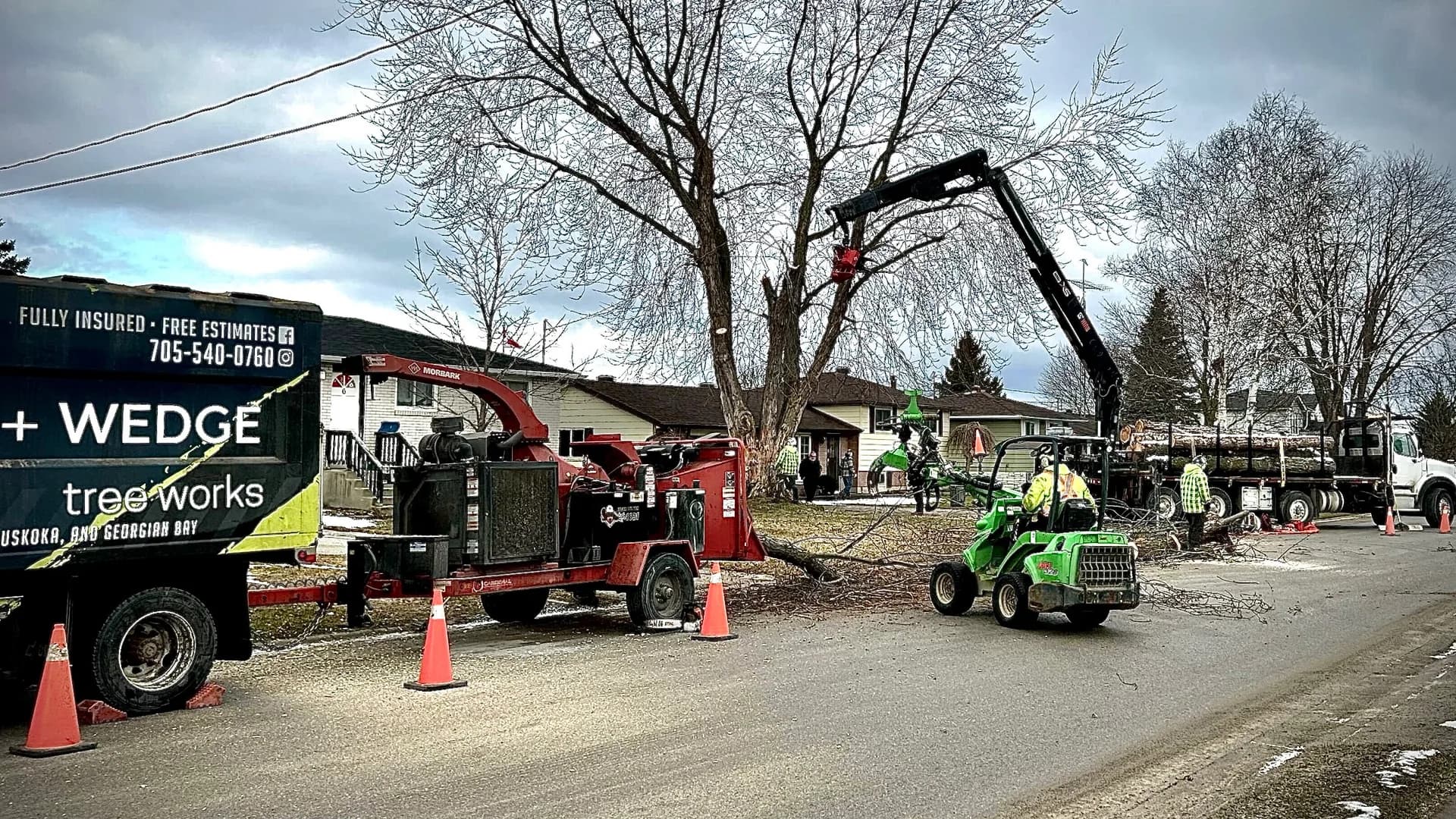 Axe & Wedge Tree Works crew removing a tree in early spring with bare trees and snow in Simcoe County