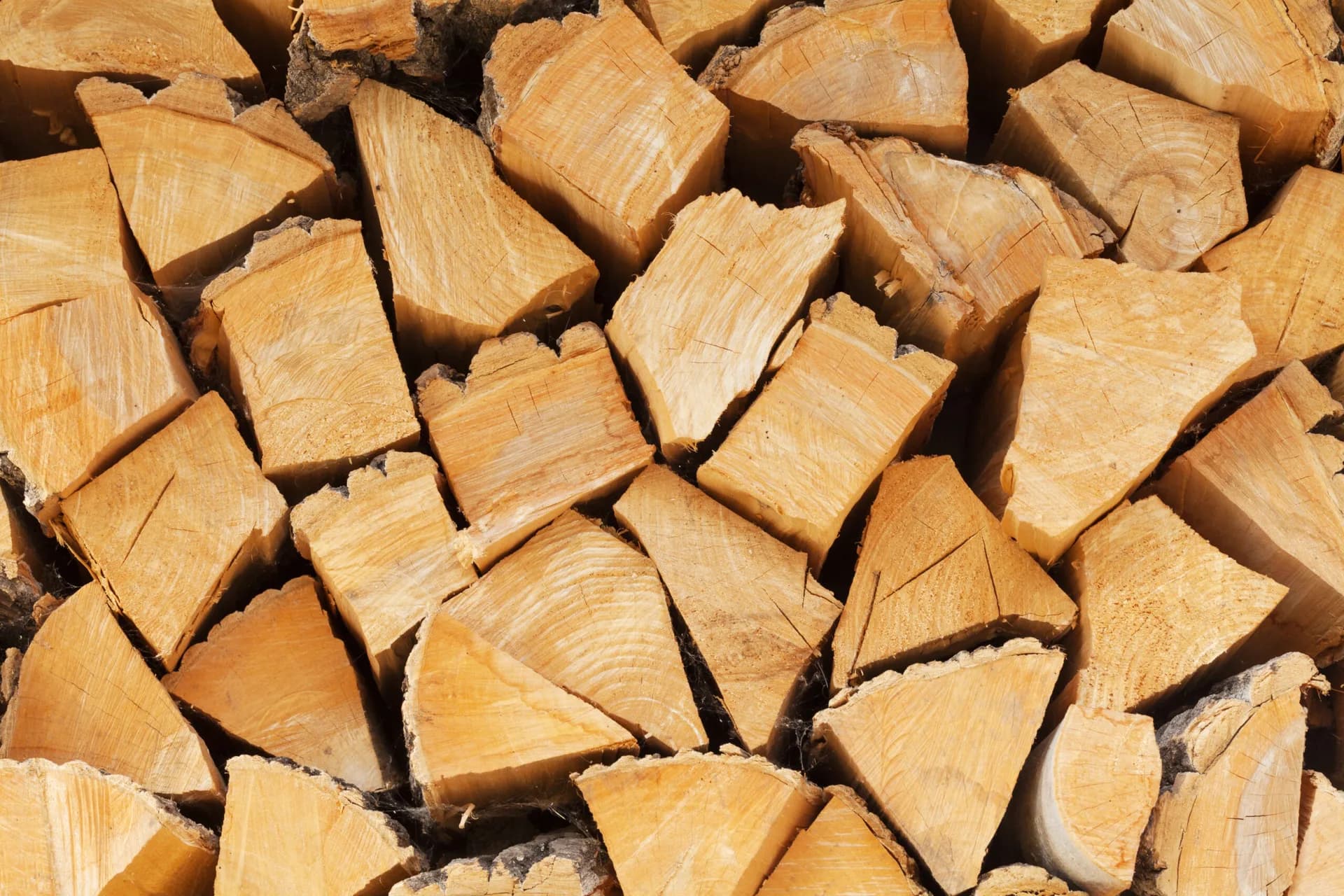 Firewood Delivery in Wasaga Beach, Ontario — Axe & Wedge Tree Works