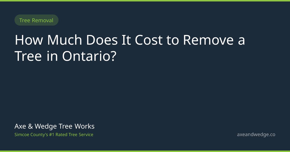 How Much Does It Cost to Remove a Tree in Ontario? | Axe & Wedge Tree ...